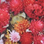 生花を使ったハーバリウムの作り方