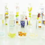 東京のエレメンタリウム教室２選！ワークショップやレッスンの体験ならココ！