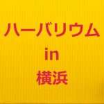 横浜周辺のハーバリウムのお教室や体験レッスンができる所は♪