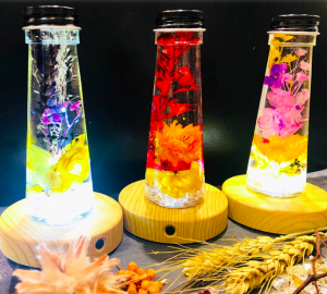 エレメンタリウムを飾るライトの購入方法や値段！通販で買える！？